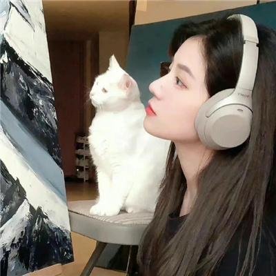 房车奇遇